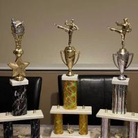 Warriors Martial Arts ico