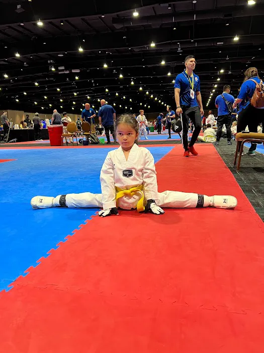 Eagle Martial Arts Giyosov Taekwondo Academy Picture 3