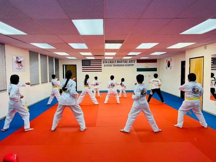 Eagle Martial Arts Giyosov Taekwondo Academy Picture 4
