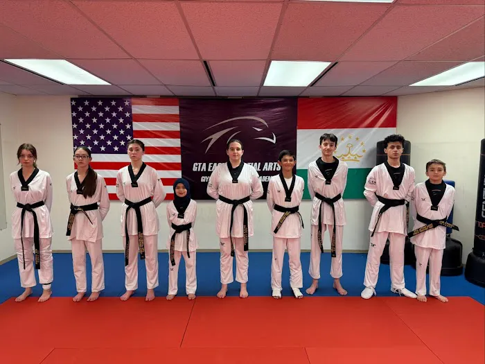 Eagle Martial Arts Giyosov Taekwondo Academy Picture 2