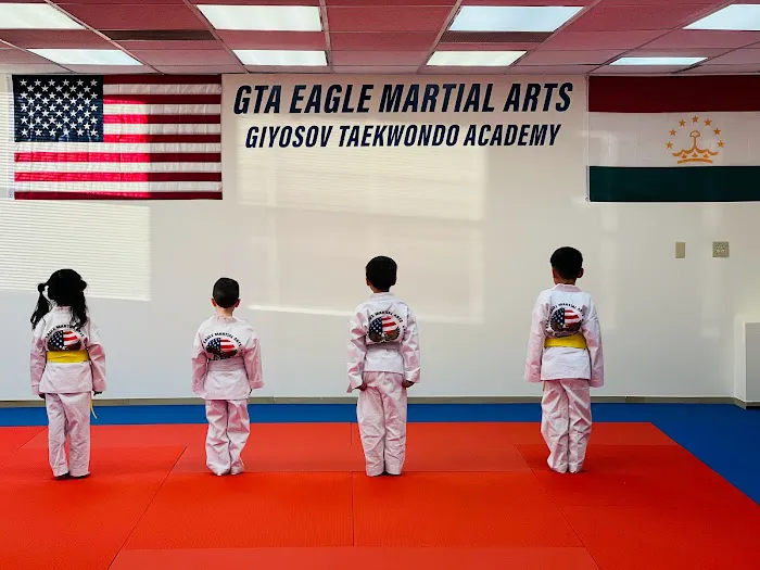 Eagle Martial Arts Giyosov Taekwondo Academy Picture 9