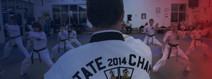 ATA Family Martial Arts Training Center Picture 2