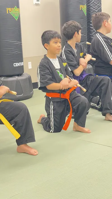 Premier Martial Arts Arapahoe Picture 4