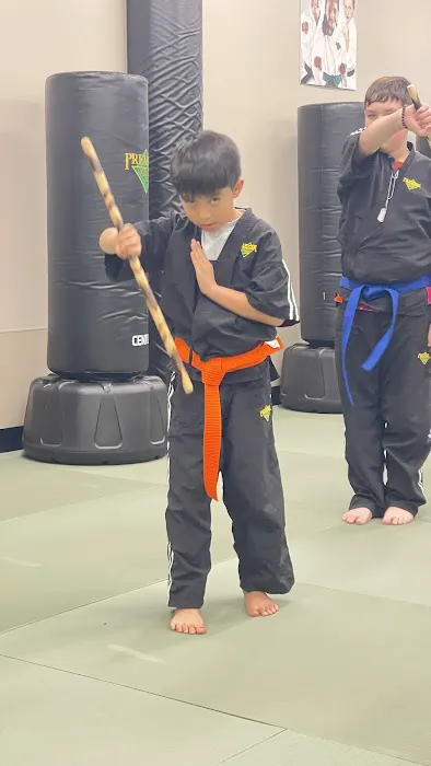 Premier Martial Arts Arapahoe Picture 6