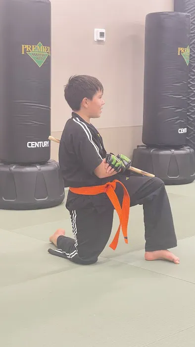 Premier Martial Arts Arapahoe Picture 7