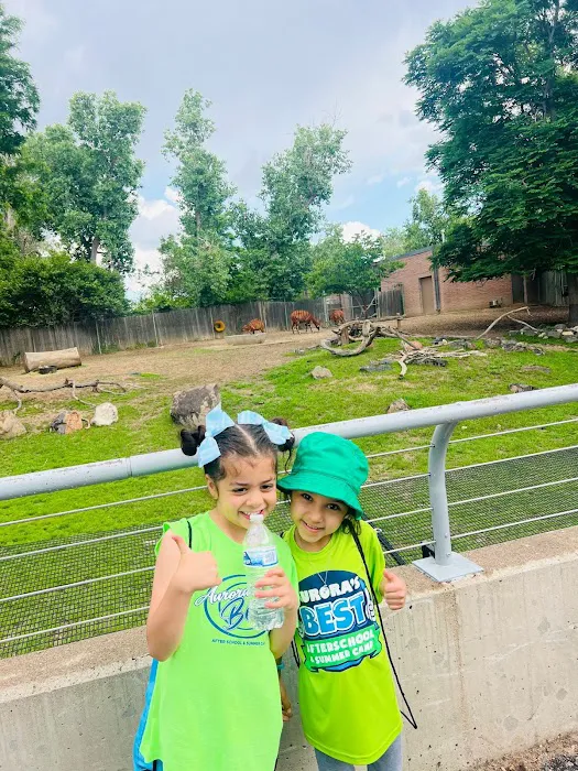 Saddle Rock Best Summer Camp & After School Program Picture 3