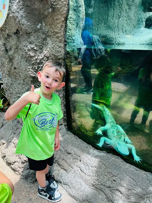 Saddle Rock Best Summer Camp & After School Program Picture 2