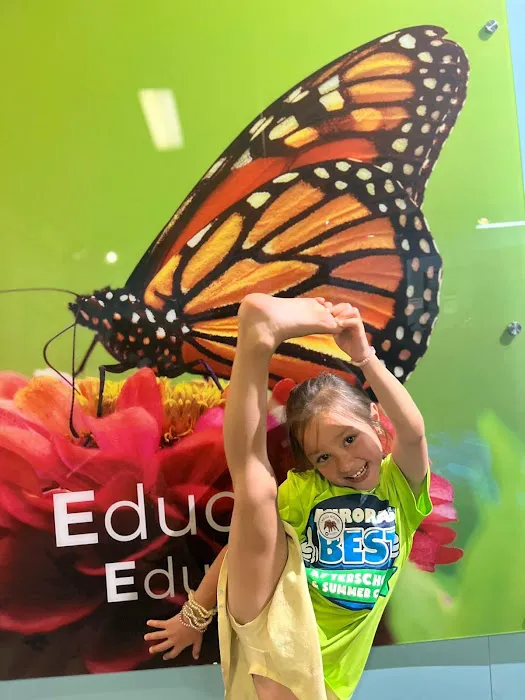 Saddle Rock Best Summer Camp & After School Program Picture 9