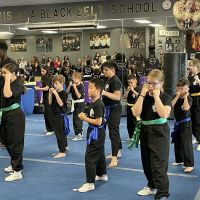 National Martial Arts Academy ico