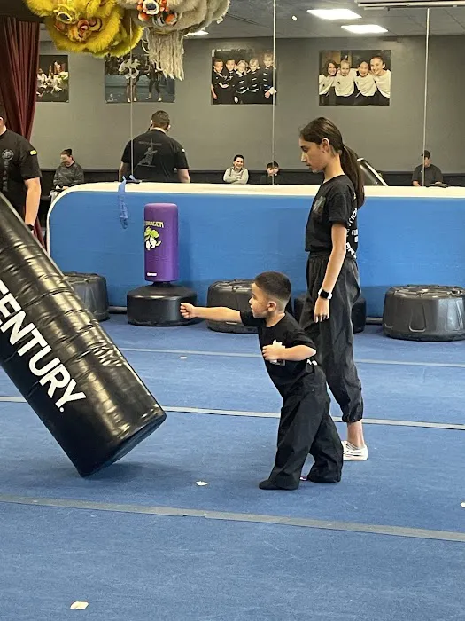 National Martial Arts Academy Picture 2