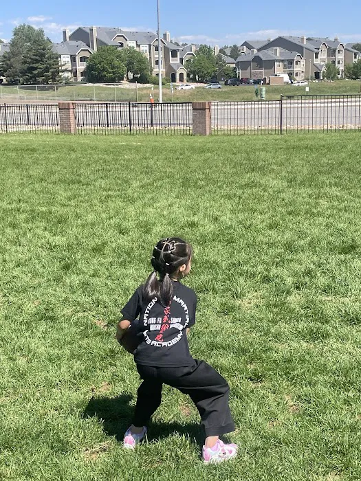 National Martial Arts Academy Picture 3