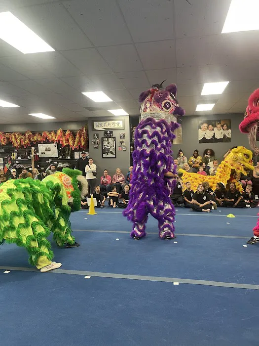 National Martial Arts Academy Picture 8