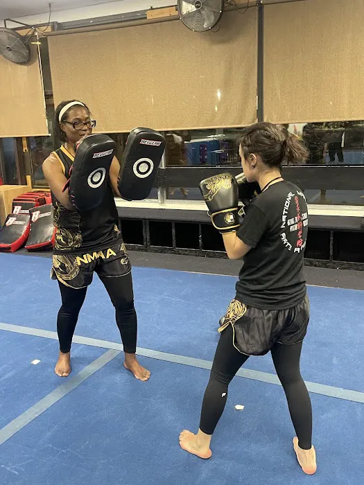 National Martial Arts Academy Picture 10