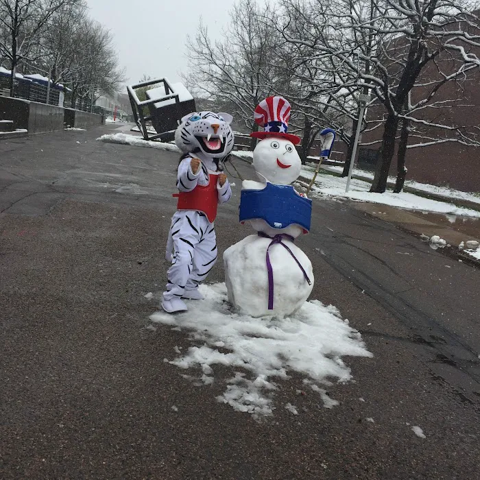 Korean Academy of Taekwondo Picture 9