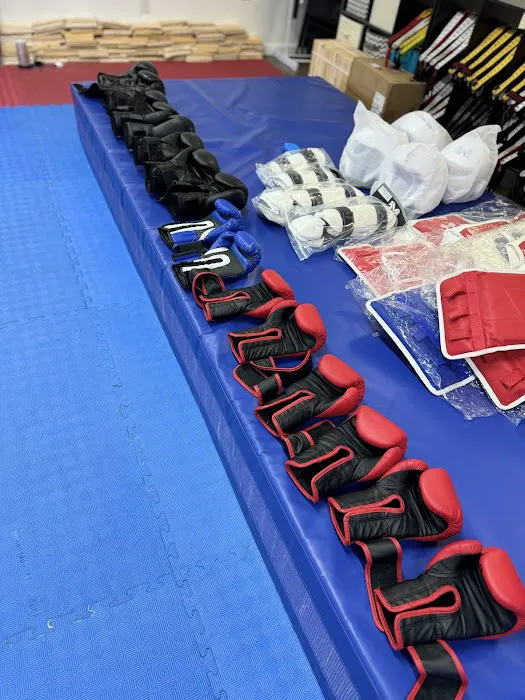 Elite Martial Arts Aurora Picture 2