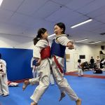 Elite Martial Arts Aurora