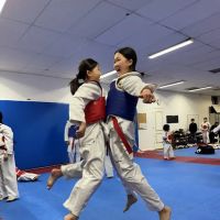 Elite Martial Arts Aurora ico