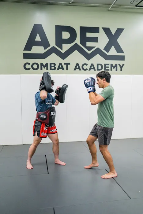 Apex Combat Academy Picture 1