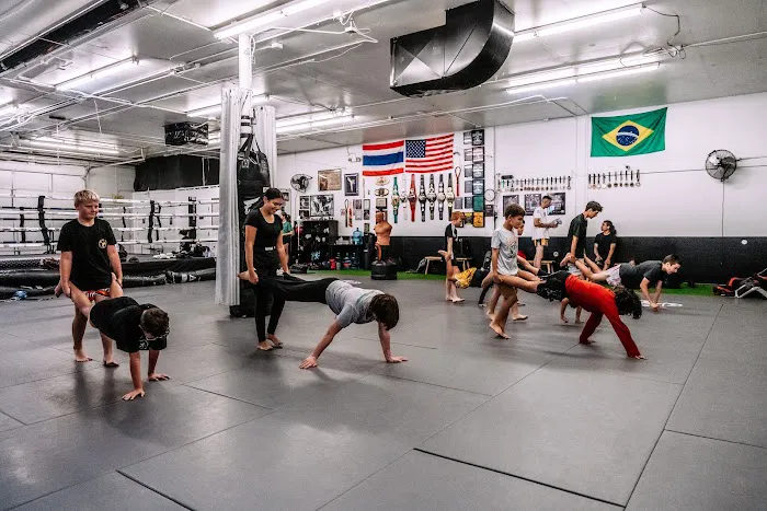 Apex Combat Academy Picture 2