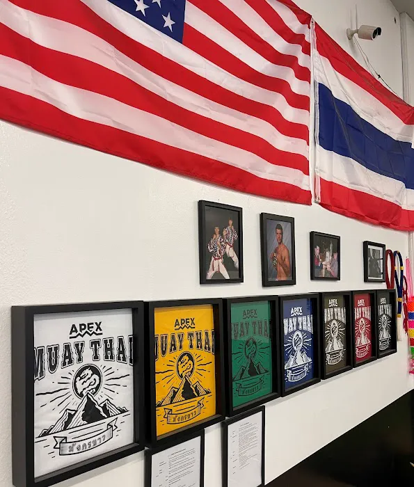 Apex Combat Academy Picture 5