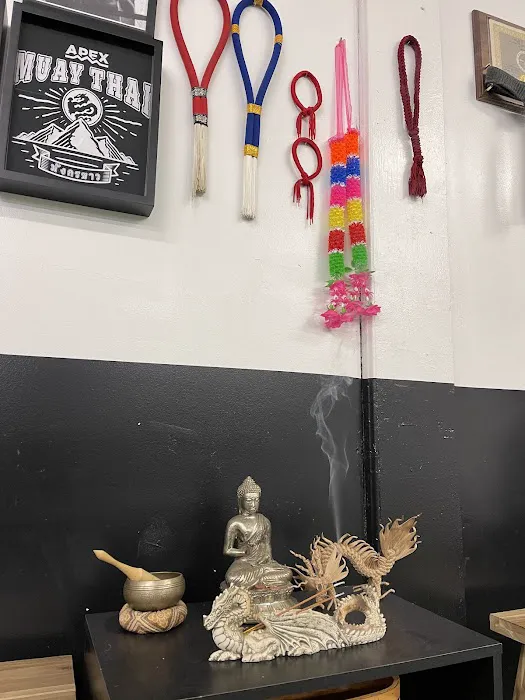 Apex Combat Academy Picture 8