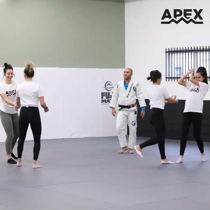 Apex Combat Academy Picture 9