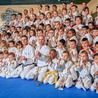 Okinawa Dojo by Karate Bros ico