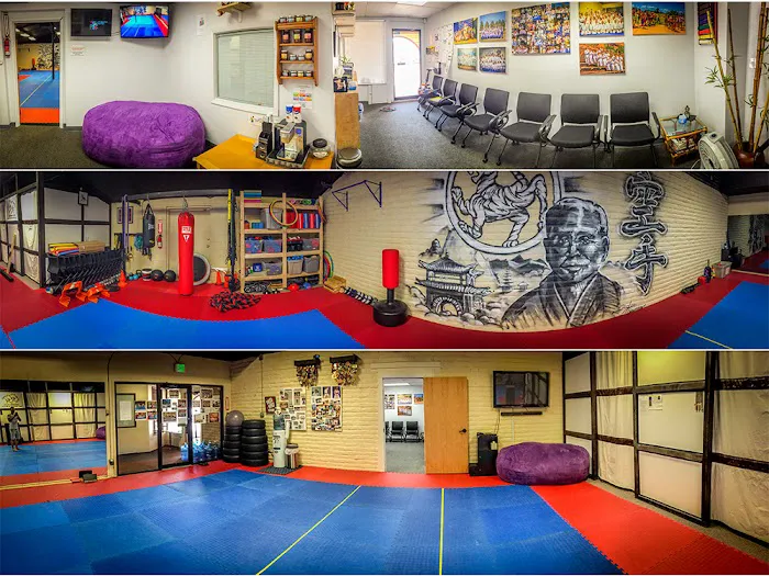 Okinawa Dojo by Karate Bros Picture 4