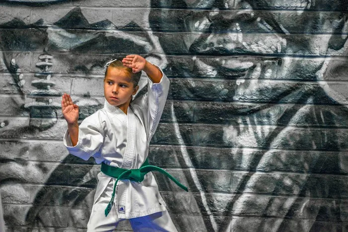 Okinawa Dojo by Karate Bros Picture 6