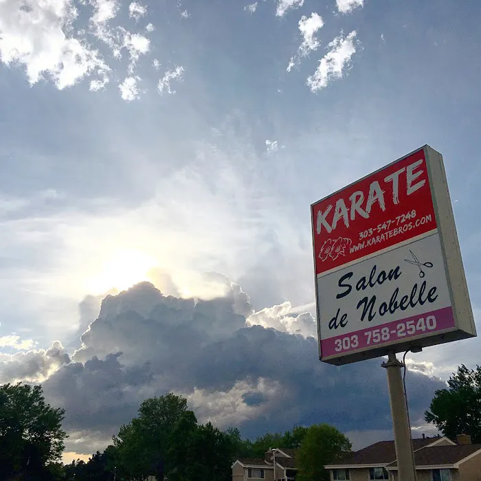 Okinawa Dojo by Karate Bros Picture 9