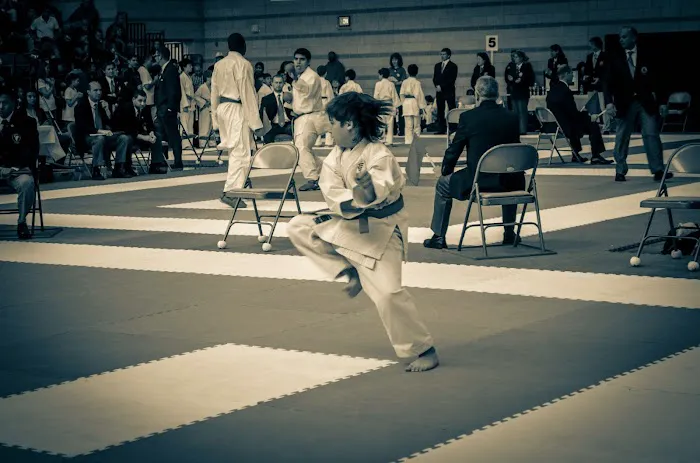 Okinawa Dojo by Karate Bros Picture 10