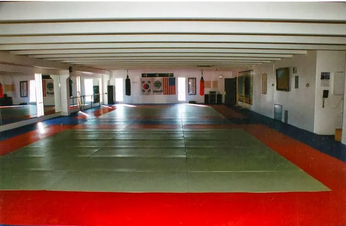 World Tae Kwon Do College Picture 5