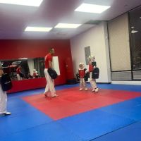 yosvel's Taekwondo Academy ico