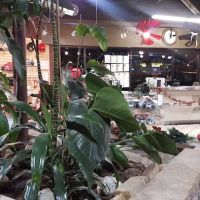 Seo's Martial Arts ico