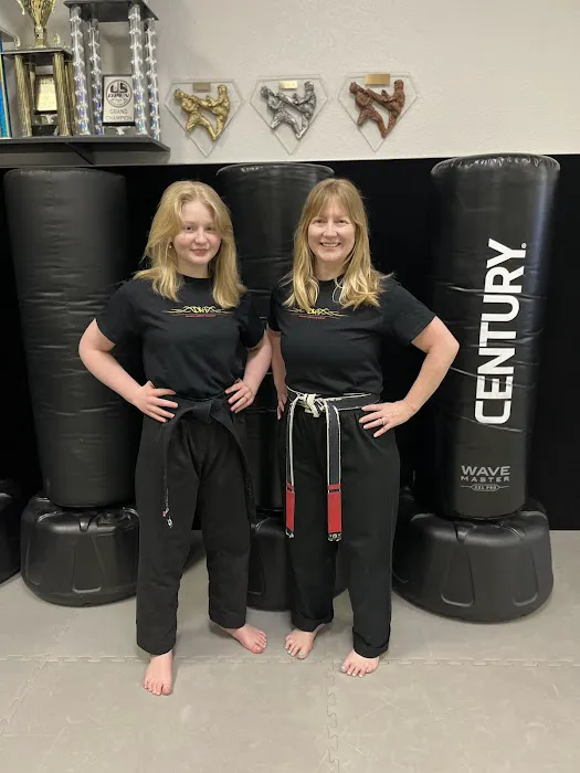 Denver Karate Academy Picture 3