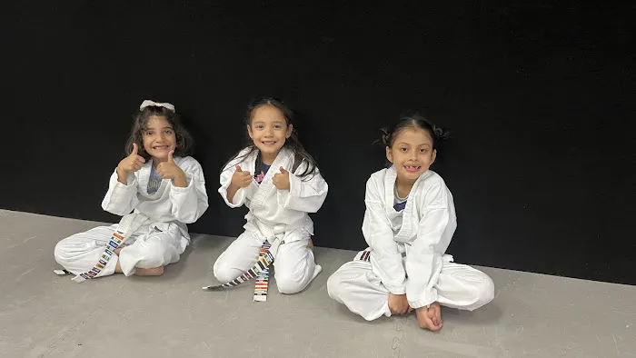 Denver Karate Academy Picture 1