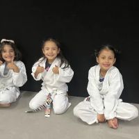 Denver Karate Academy ico