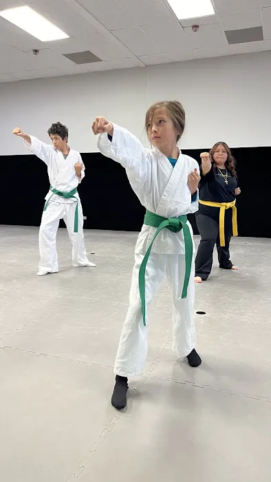 Denver Karate Academy Picture 5