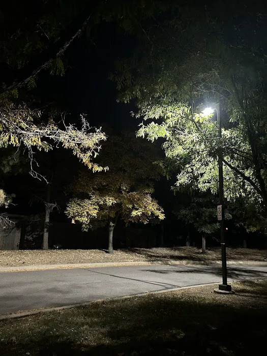 Mountain Academy of Martial Arts Lakewood Picture 1