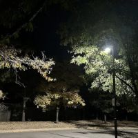 Mountain Academy of Martial Arts Lakewood ico