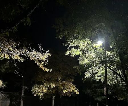 Mountain Academy of Martial Arts Lakewood