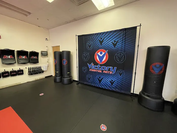 Victory Martial Arts Picture 9