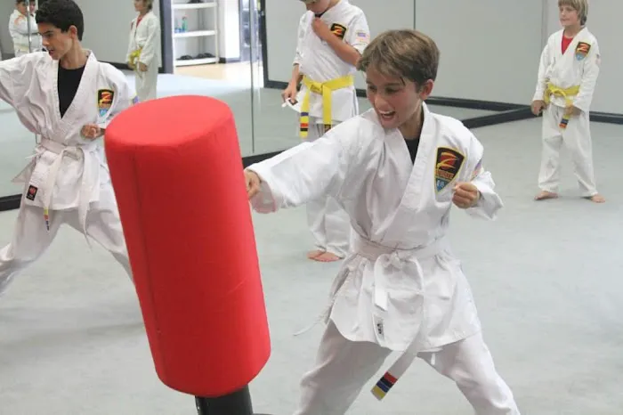 Z-Ultimate Self Defense Studios Picture 3