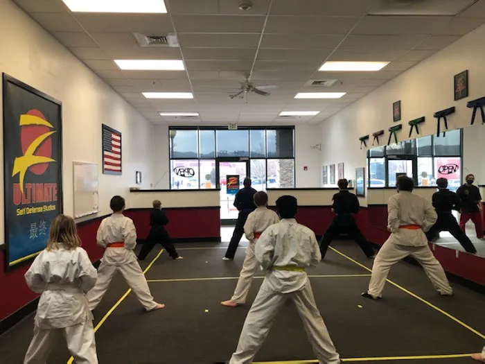 Z-Ultimate Self Defense Studios Picture 4