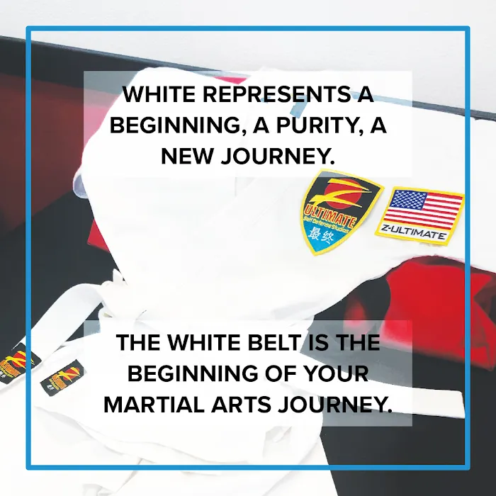 Z-Ultimate Self Defense Studios Picture 9