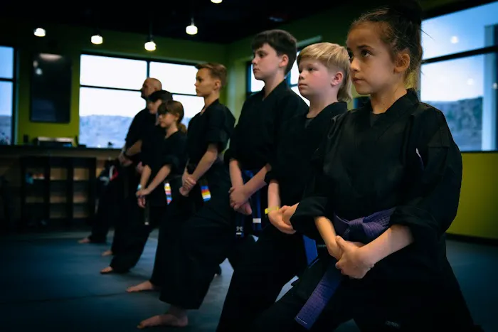 Indie Martial Arts Picture 2