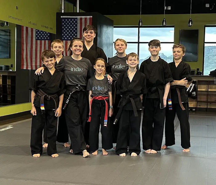 Indie Martial Arts Picture 4