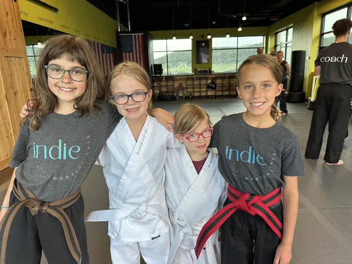 Indie Martial Arts Picture 9