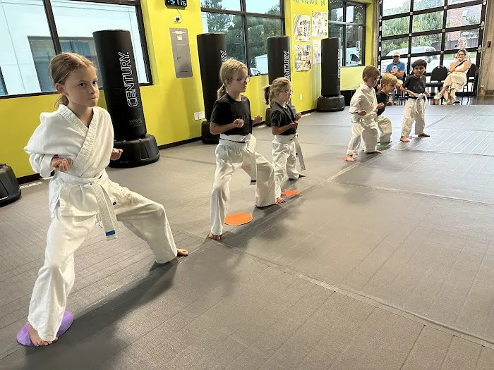 Indie Martial Arts Picture 10