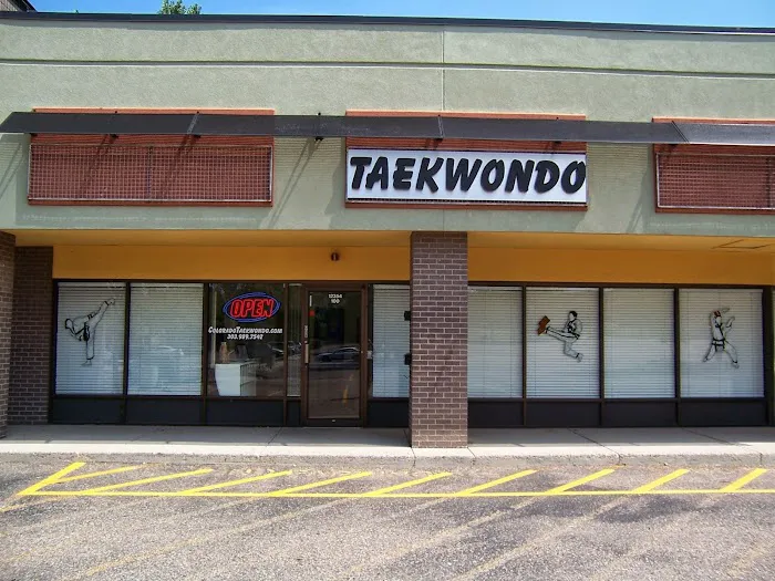 Colorado Taekwondo Institute Picture 2